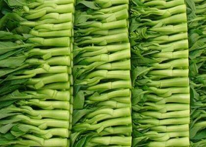 新鮮蔬菜配送:芥蘭