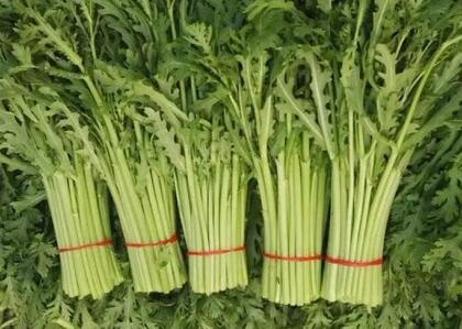 配送新鮮蔬菜:茼蒿